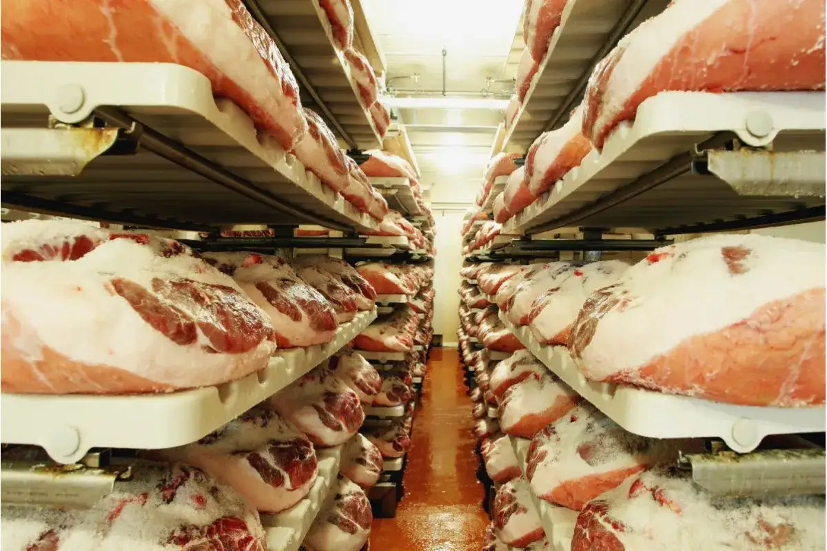 Szerokie regały wypełnione dojrzewającymi szynkami, gdzie różnica między szynką parmeńską a serrano w procesie dojrzewania jest kluczowa dla smaku.