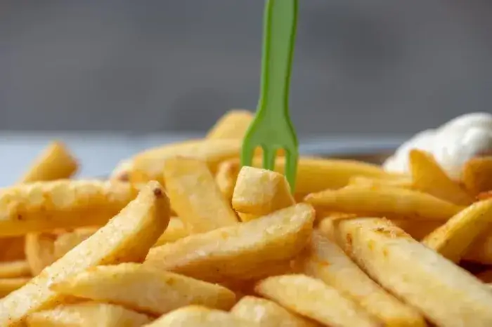 Zdjęcie Jak zrobić frytki w frytkownicy beztłuszczowej Tefal, aby były chrupiące